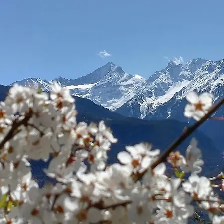 Le Petit Coq - Ampio E Luminoso Con Vista *