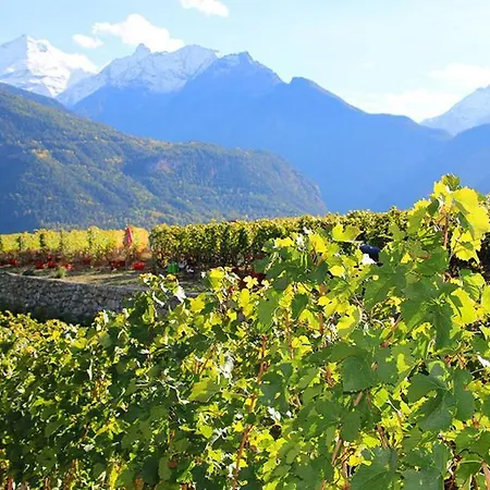 公寓 Le Petit Coq - Ampio E Luminoso Con Vista *