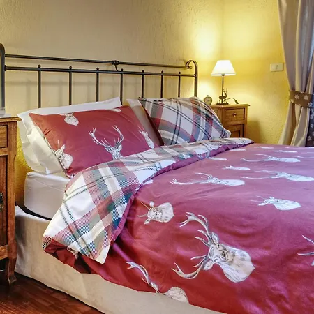 公寓 Le Petit Coq - Ampio E Luminoso Con Vista