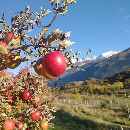 아파트 Le Petit Coq - Ampio E Luminoso Con Vista