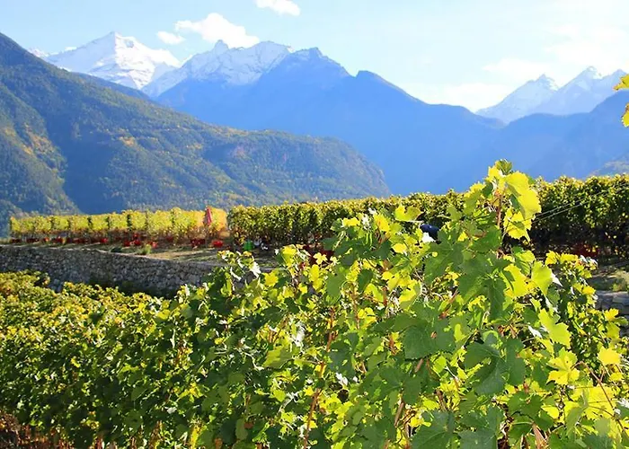 アパート Le Petit Coq - Ampio E Luminoso Con Vista *